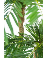 Cycas Kunstpalm Classic 165 cm