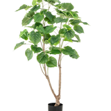 De Kunstplant Ficus 150 cm heeft meerdere slanke bruine stengels en grote, brede groene bladeren, gepresenteerd in een hoge pot tegen een effen witte achtergrond.