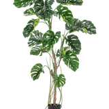 De Kunstplant Monstera 180 cm is een hoge kunstplant met grote, glanzende, gespleten groene bladeren in een kleine zwarte pot, afgebeeld tegen een effen witte achtergrond.