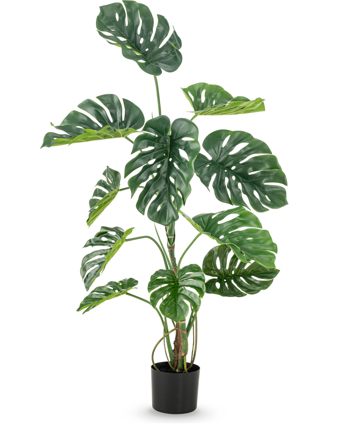 De Kunstplant Monstera 120 cm is een hoge faux monstera in pot met grote, glanzend groene bladeren met natuurlijk ogende gaten en scheuren, tegen een effen witte achtergrond.