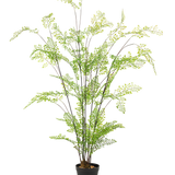 De Kunst varen van 120 cm heeft lange, slanke stengels en kleine, fijne groene blaadjes, die elegant in een pot zijn gerangschikt tegen een effen witte achtergrond – een ideale, onderhoudsvriendelijke kamerplant voor jouw interieur.