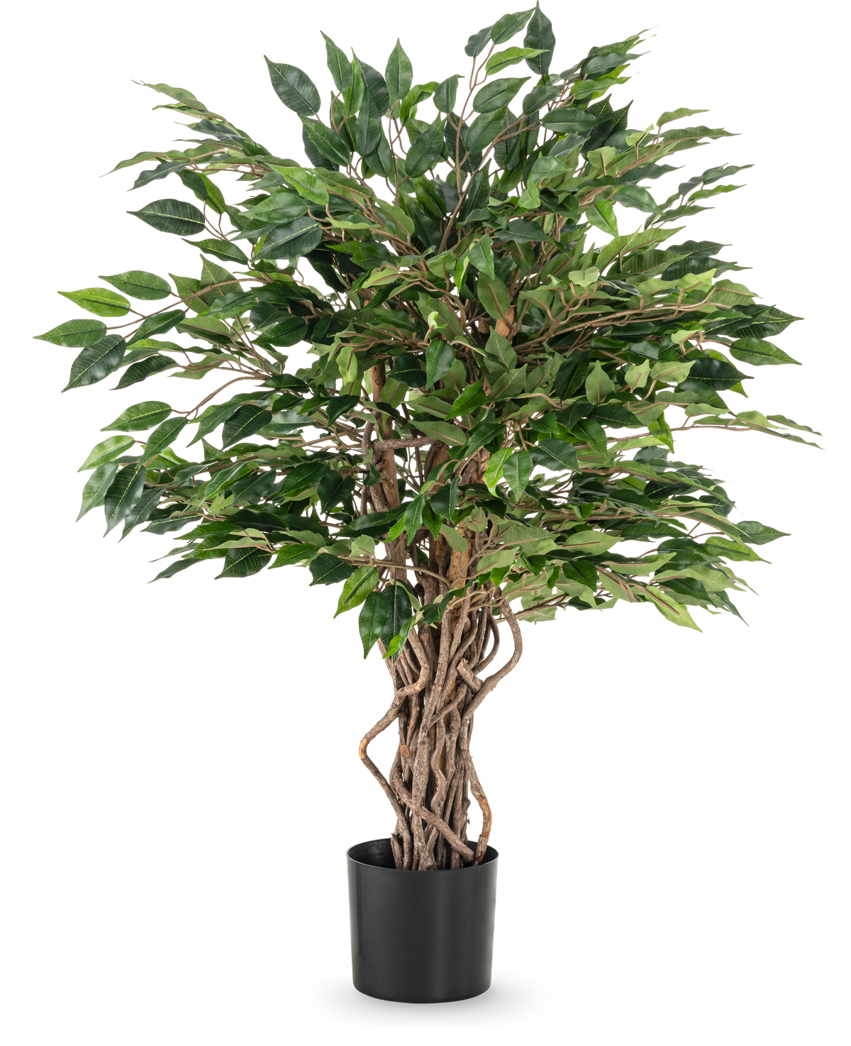 De Kunstplant Ficus Liana 90 cm heeft gedraaide bruine stammen en dichte groene bladeren in een zwarte pot, ideaal als kantoorplant of voor elke ficusverzameling, afgebeeld tegen een witte achtergrond.