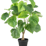 De Kunstplant Ficus 60 cm heeft grote, groene, hartvormige bladeren en een gestructureerde stam in een eenvoudige zwarte plastic pot, tegen een witte achtergrond.