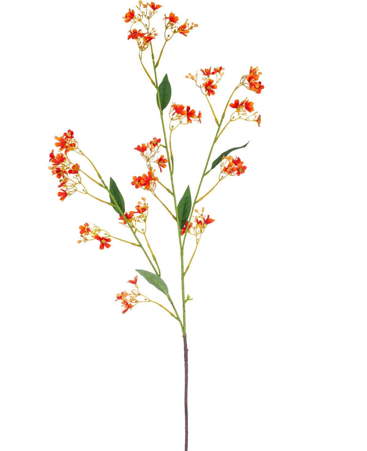 De Kunsttak Daphne Spray 108 cm oranje heeft een enkele, lange kunsttak met kleine fel oranje bloemen en groene bladeren, tegen een effen witte achtergrond.