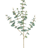 De Kunst Eucalyptus 96 cm heeft slanke stelen en ronde, blauwgroene bladeren, elegant weergegeven tegen een effen witte achtergrond.