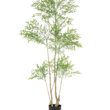 De Kunstplant Ruscus 180 cm is een hoge kunstplant met meerdere slanke stammen en overvloedige kleine groene bladeren, weergegeven in een eenvoudige zwarte pot tegen een witte achtergrond.
