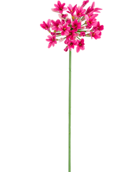 Fleur artificielle Agapanthe 77 cm rose