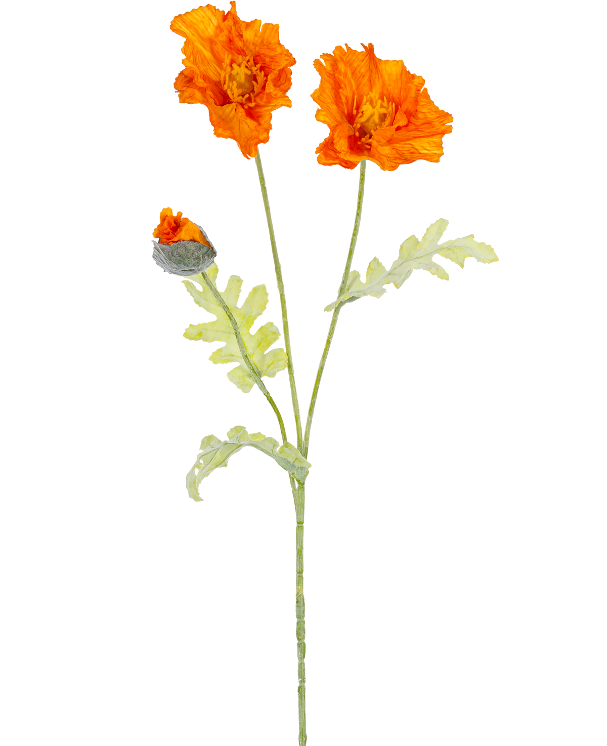 Een botanische illustratie van de Kunstbloem klaproos 73 cm oranje toont twee open oranje bloemen en een gesloten knop op lange groene stelen met lichtgroene, diep gelobde bladeren.