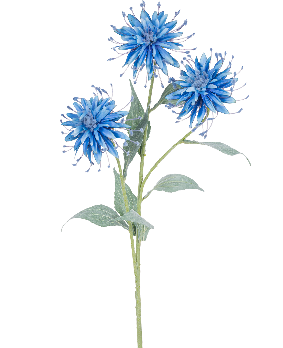 De Kunstbloem Scabiosa Japonica 70 cm blauw heeft een enkele groene steel met drie blauwe, piekerige kunstbloemen en verschillende groene bladeren, tegen een effen witte achtergrond.