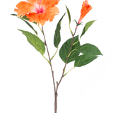 De Kunstbloem Hibiscus 64 cm oranje heeft een enkele steel met groene bladeren en twee oranje bloemen, één uitgebloeid en één in knopvorm, op een witte achtergrond.
