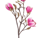 De Kunstbloem Magnolia 50 cm roze is een bruine kunstmagnolia tak met verschillende roze en witte bloemen en donzige knoppen, afgebeeld tegen een witte achtergrond.