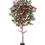 Een brandvertragende kunstplant Ficus groen/rood van 180 cm, met een gedraaide stam en groene-rode bladeren in een zwarte pot, staat tegen een egale witte achtergrond.