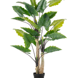 De Kunstplant Alocasia 240 cm is een hoge kunstplant met grote groene bladeren en meerdere stengels in een zwarte pot, tegen een effen witte achtergrond.