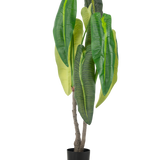 Een Kunstplant Anthurium 150 cm met grote bladeren in een pot.