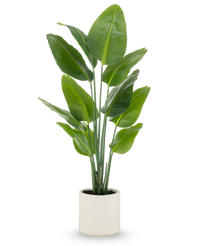 Plante artificielle Strelitzia Real Touch prête à l'emploi en pot beige 150 cm