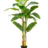 De Kunstplant Bananenboom 230 cm heeft hoge, stevige stelen met brede groene bladeren, in een eenvoudige zwarte pot tegen een witte achtergrond.