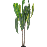 De Kunstplant Anthurium 210 cm heeft hoge, weelderige groene bladeren en twee bruine stelen in een kleine zwarte pot, tegen een eenvoudige witte achtergrond.