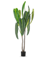 De Kunstplant Anthurium 210 cm heeft hoge, weelderige groene bladeren en twee bruine stelen in een kleine zwarte pot, tegen een eenvoudige witte achtergrond.