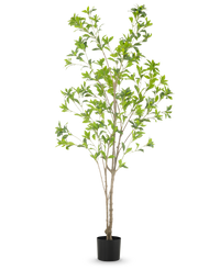 Kunstplant Pieris Japonica 180 cm