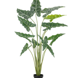 De Kunstplant Alocasia 160 cm is een kunstplant in pot met lange, rechtopstaande stengels en grote, donkergroene bladeren met opvallende witte nerven, tegen een effen witte achtergrond.