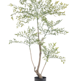 De Kunstplant Ruscus 120 cm is een hoge, slanke kunstplant met lange dunne takken met veel kleine groene blaadjes. Hij staat in een eenvoudige zwarte pot en brengt realistisch groen in elke ruimte zonder dat onderhoud nodig is.