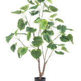De Kunstplant Ficus 120 cm is een hoge kunstplant met meerdere slanke takken en grote, hartvormige groene bladeren, in een eenvoudige zwarte pot tegen een witte achtergrond.