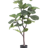 De Kunstplant Ficus Tabaksplant Deluxe 125 cm heeft grote, glanzende groene bladeren en een slanke bruine stam in een zwarte pot, die een Afrikaanse sfeer toevoegt als groene kamerplant tegen een witte achtergrond.