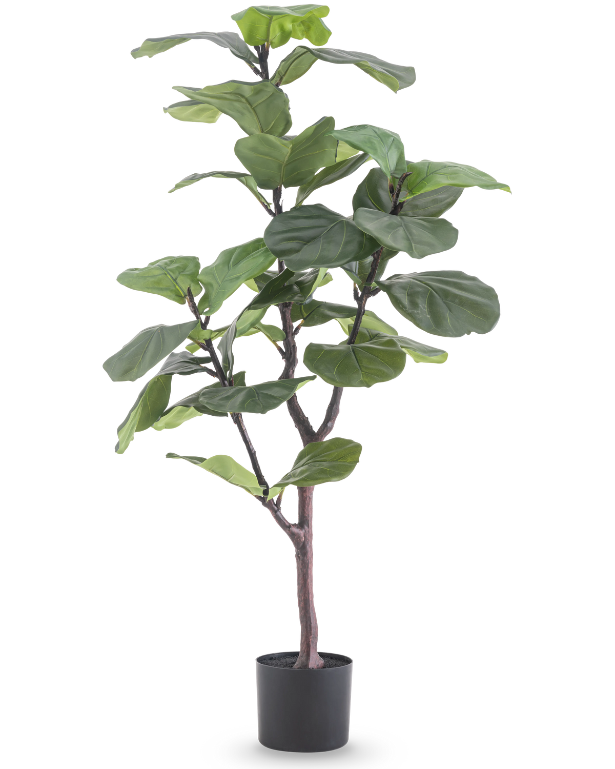De Kunstplant Ficus Tabaksplant Deluxe 125 cm heeft grote, glanzende groene bladeren en een slanke bruine stam in een zwarte pot, die een Afrikaanse sfeer toevoegt als groene kamerplant tegen een witte achtergrond.