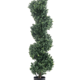 De Kunst Buxus Spiraal Romeinse stijl UV 120cm is een kunst vormsnoei met dicht groen spiraalvormig blad, in een eenvoudige zwarte pot en tegen een witte achtergrond.