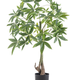 De Kunstplant Pachira 120 cm heeft een gevlochten stam en weelderige groene bladeren in een zwarte pot, tegen een effen witte achtergrond.