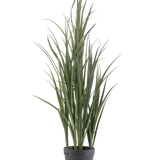 De Kunstgras Groen UV 90cm is een hoge kunstplant met lange, slanke groene bladeren die rechtop staan in een donkergrijze pot op een effen witte achtergrond.