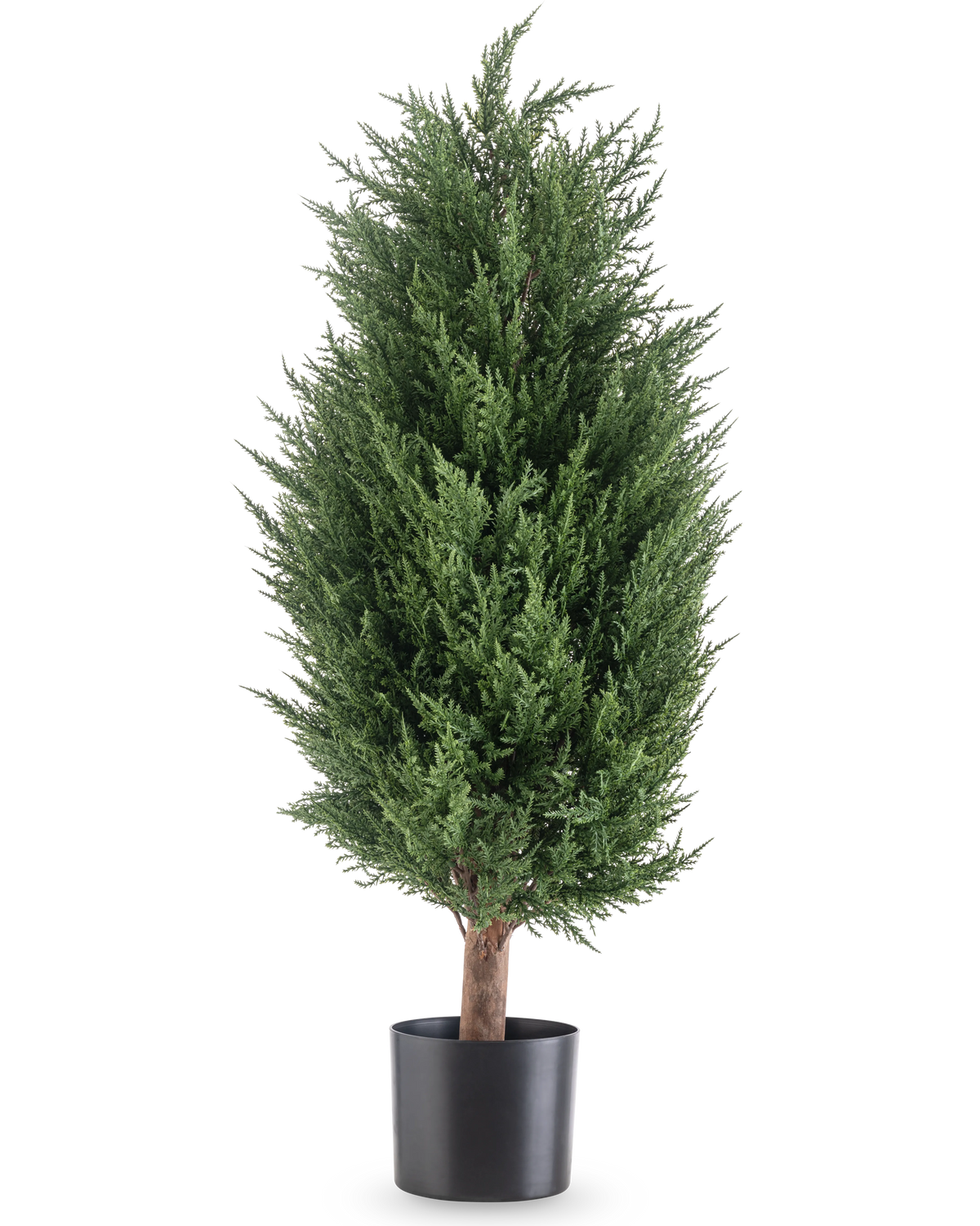 De Kunstplant Conifeer deluxe UV 90 cm is een weelderige, groene kunstgroenblijvende plant met dicht gebladerte in een zwarte pot - een onderhoudsvrije plant die in elke omgeving levendig blijft.