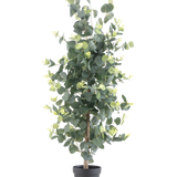 De Kunstplant Eucalyptus 91 cm heeft hoge, realistische ronde groene bladeren en kleine gele knoppen in een zwarte pot, tegen een effen witte achtergrond.