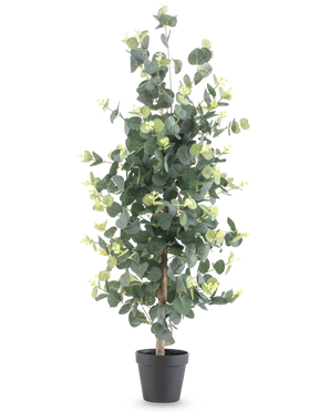 Kunstplant Eucalyptus 91 cm met ronde groene bladeren en kleine gele accenten in een zwarte pot, afgebeeld tegen een effen witte achtergrond.
