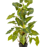 De Kunstplant Trapa Bispinosa 90 cm groen is een potplant met grote, groene, hartvormige bladeren met gele nerven, in een zwarte pot tegen een effen lichte achtergrond.