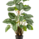 De Kunstplant Appelblad 90 cm is een potplant met grote, ovale groene bladeren die worden geaccentueerd door lichtgroene en witte strepen, tegen een effen witte achtergrond.