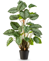 De Kunstplant Appelblad 90 cm is een potplant met grote, ovale groene bladeren die worden geaccentueerd door lichtgroene en witte strepen, tegen een effen witte achtergrond.