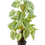 De Kunstplant Anthurium 90 cm groen is een kunstplant in pot met grote, ovale groen-wit gestreepte bladeren, rechtopstaand in een zwarte pot tegen een effen witte achtergrond.