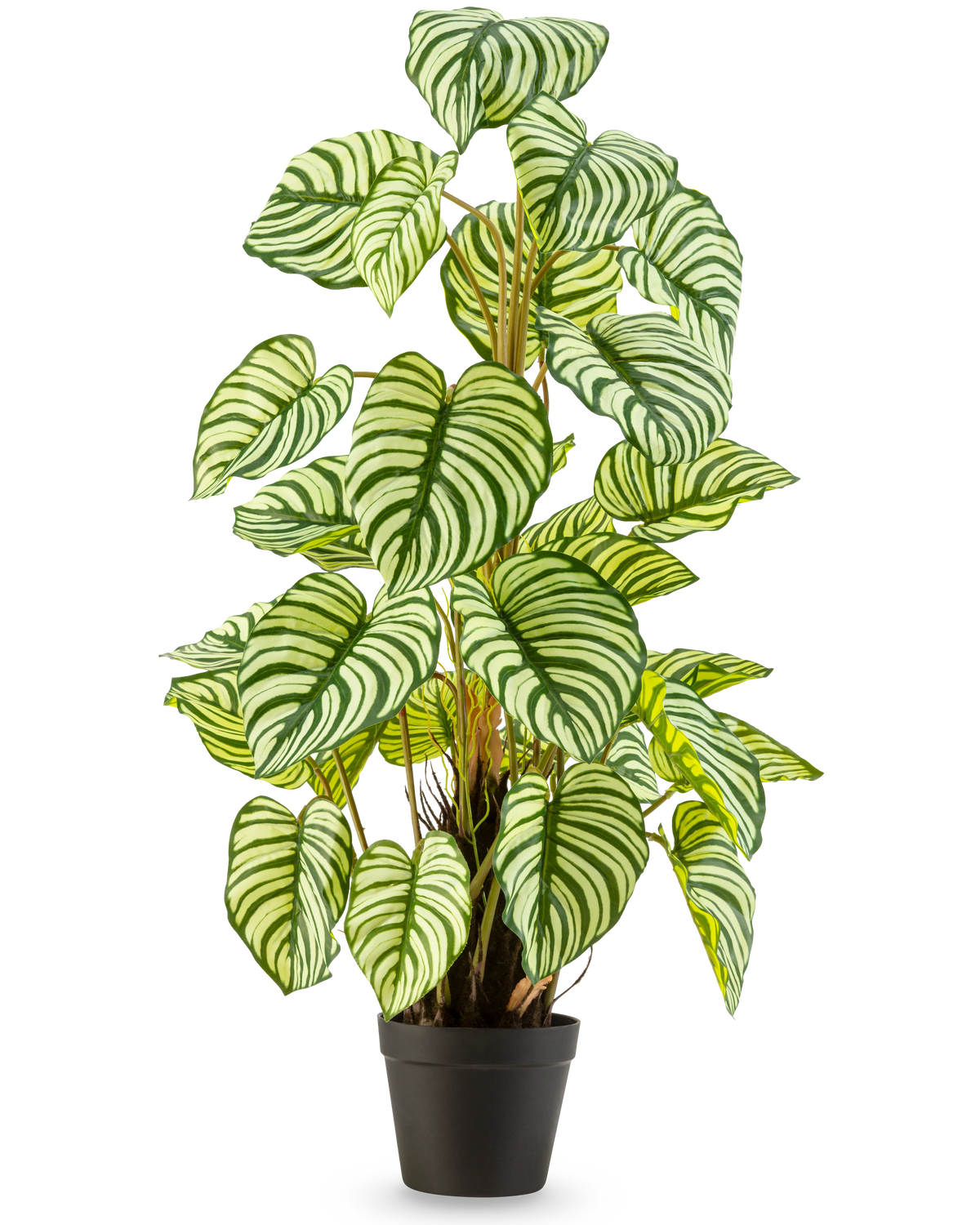De Kunstplant Anthurium 90 cm groen is een kunstplant in pot met grote, ovale groen-wit gestreepte bladeren, rechtopstaand in een zwarte pot tegen een effen witte achtergrond.