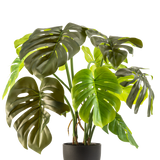 De Kunst Monstera 50 cm heeft grote, glanzend groene bladeren met natuurlijke scheuren en gaten, gepresenteerd in een pot tegen een effen witte achtergrond.