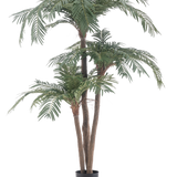 De Kunstpalm Cycas Classic 165 cm heeft meerdere bruine stammen en weelderige groene bladeren in een eenvoudige zwarte pot, tegen een witte achtergrond - een realistische palm die natuurlijke elegantie brengt in elke ruimte.