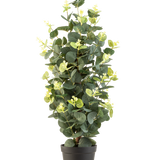 De Kunstplant Eucalyptus 61 cm is een kunstplant in pot met groene bladeren in een eenvoudige zwarte pot, die rechtop staat tegen een witte achtergrond.