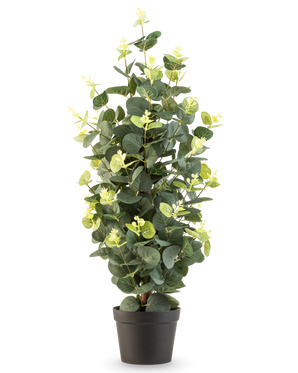 De Kunstplant Eucalyptus 61 cm is een kunstplant in pot met groene bladeren in een eenvoudige zwarte pot, die rechtop staat tegen een witte achtergrond.