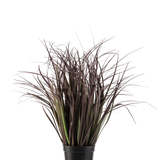 De Kunst Grasplant Wild Lawn 50 cm brandvertragend heeft hoge, smalle, donkerpaarse bladeren in een zwarte pot tegen een witte achtergrond-een stijlvolle kunstplant ideaal voor moderne interieurs.