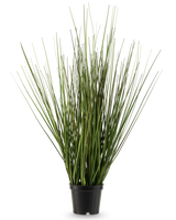 De Kunst Grasplant Ui 50 cm brandvertragend heeft lange, smalle groene stengels die rechtop groeien en iets uitlopen in een kleine zwarte plastic pot, tegen een effen witte achtergrond.