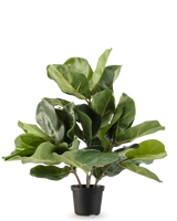 De Kunstplant Tabaksplant Fiddle Leaf 45 cm heeft grote, glanzende groene bladeren en stevige stelen in een eenvoudige zwarte plastic pot, tegen een effen witte achtergrond.