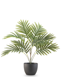 Palmier Phoenix artificiel 50 cm en pot décoratif noir