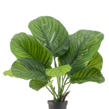 De Kunstplant Calathea 46 cm is een potplant met grote, brede groene bladeren die opvallende licht- en donkergroene strepen vertonen, afgebeeld tegen een effen witte achtergrond.