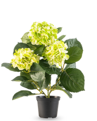 Plante artificielle Hortensia Vert 35 cm