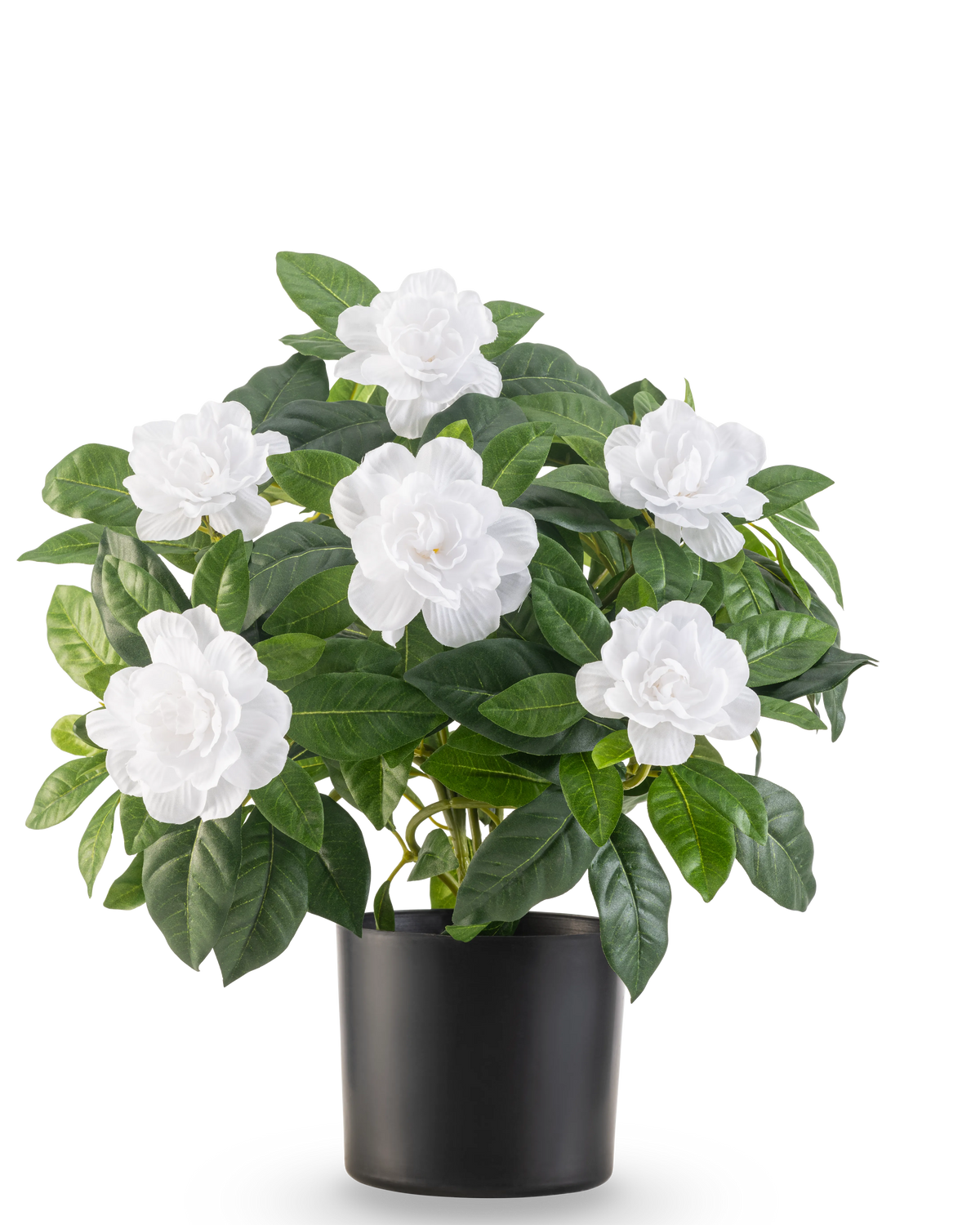 De Kunstplant Gardenia UV 39 cm wit heeft weelderige groene bladeren en grote witte gardeniabloemen in een eenvoudige zwarte pot, tegen een effen witte achtergrond.